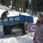 Skiing with Monkeys